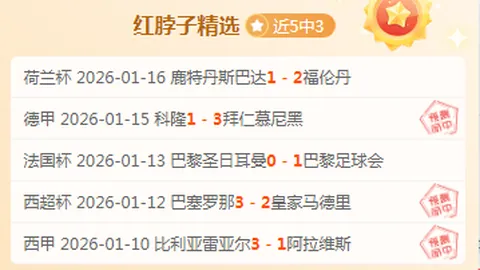 2020-2021赛季德甲联赛第25轮亮点汇总