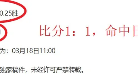 胡梅尔斯红牌致命 罗马十人战毕巴出局
